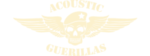 Acoustic Guerillas